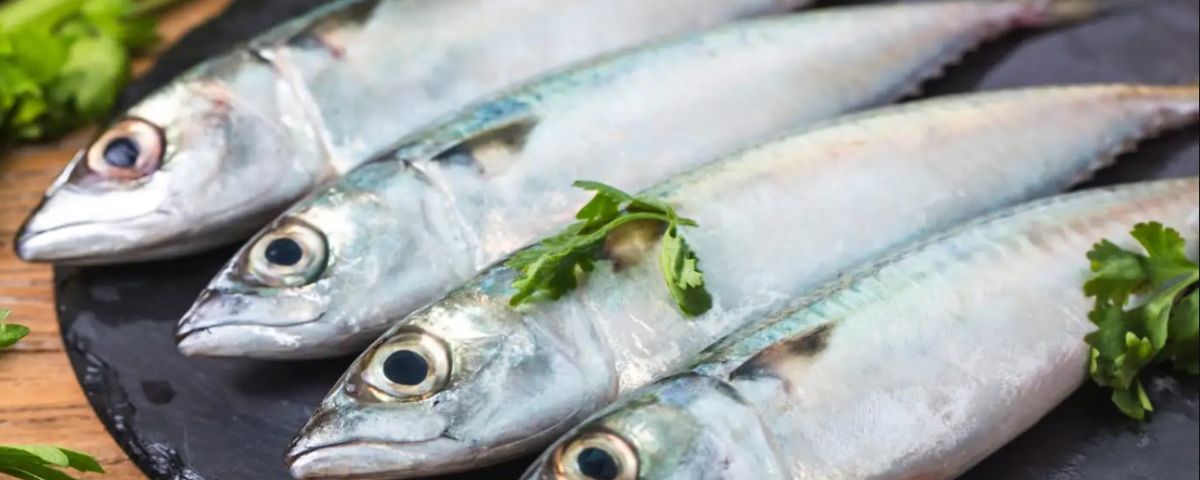 manfaat ikan kembung penuh dengan omega 3