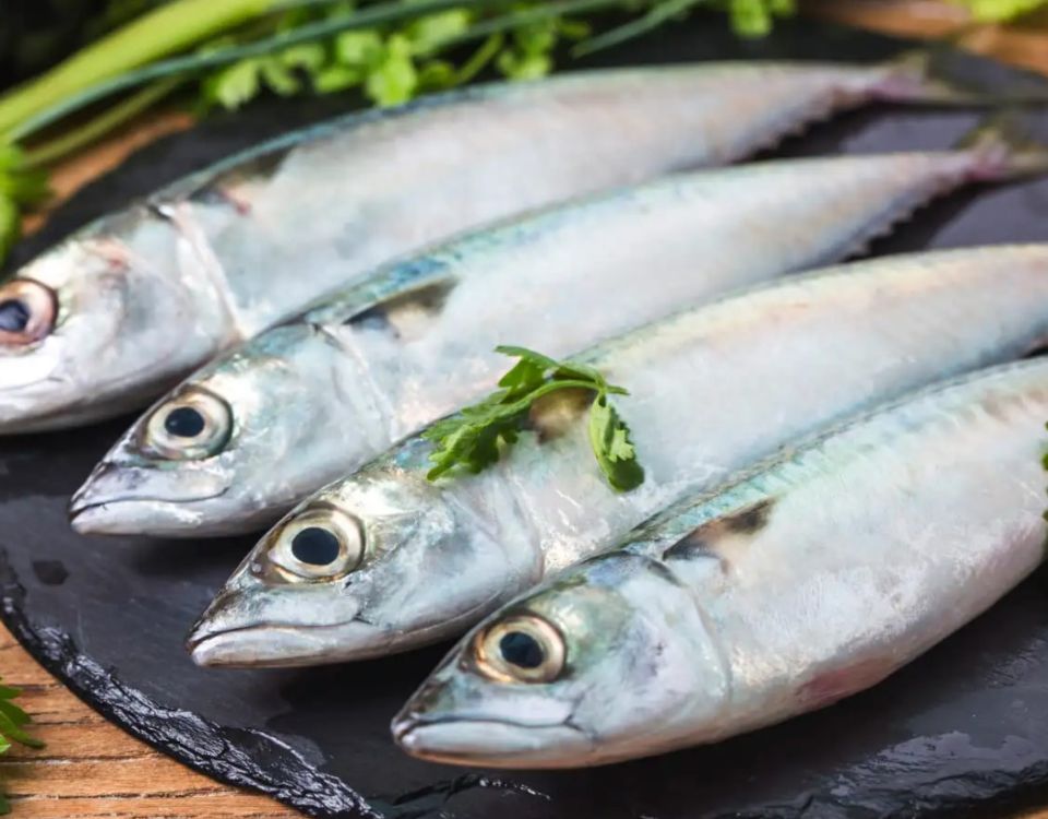 manfaat ikan kembung penuh dengan omega 3